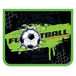 Папка " Пчелка " МАЛЫЙ ФОРМАТ А5-291 (230*190*50мм) молния сверху Football, пластиковая, печать на картоне