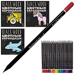 Карандаши цветные пластиковые BlackWoodColor 24цв " Bruno Visconti " трехгранные, 4 вида (без возможности выбора дизайна), картонная упаковка, европодвес