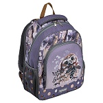 Рюкзак " Erich Krause " 39*28*14 см ErgoLine 15L Dreamy Owl, серый, эргономичная спинка, 1 отделение, большой внешний карман на молнии, 2 боковых кармана на резинке, усиленное дно, светоотражающие элементы, регулируемые лямки