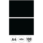 Альбом А4 40л " Проф-Пресс " Классика однотонная- 5, скоба, обложка- мелованная бумага, блок- офсет 100г/м2, 2 дизайна в спайке