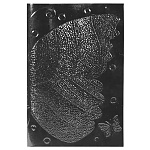 Обложка для паспорта " Имидж " Бабочка, черная, натуральная лакированная кожа, тиснение конгрев