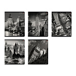 Тетрадь А5 48л клетка " Альт " Города, офсет, на скобе, обложка - мелованный картон, сплошной УФ-лак, скругленные углы, 5 дизайнов в спайке