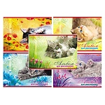 Альбом А4 20л " Hatber " Котята (ассорти), на скобе, обложка- мелованный картон, блок- офсет 100г/м2, 1 дизайн в спайке, 5 дизайнов в коробке