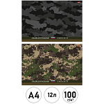 Альбом А4 12л " Проф-Пресс " В стиле милитари- 3, на скобе, обложка- мелованная бумага, блок- офсет 100г/м2, 2 дизайна в спайке