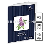 Папка для акварели " Лилия Холдинг " БОЛЬШОЙ ФОРМАТ А2 10л Сирень, бумага молочного цвета с зернистой поверхностью, плотность - 300 г/м2