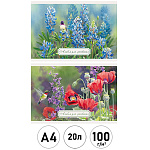 Альбом А4 20л " Академия Групп " Wild Wings, склейка, обложка- немелованный картон, выборочный УФ-лак двойной, блок- офсет 100г/м2