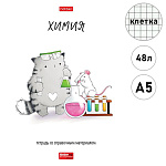 Тетрадь А5 48л " Hatber " Приключения кота Пирожка- Химия, клетка, со справочным материалом, на скобе, обложка- мелованная бумага