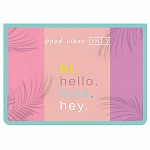 Папка " Пчелка " А4-29 (325*230*55мм) молния сверху Hello, печать на пластике