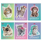 Блокнот МАЛЫЙ ФОРМАТ А6 спираль сверху 40л " Hatber " Котики бывают разными (ассорти), клетка, обложка - мелованный картон, УФ-лак, 6 дизайнов