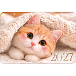 Календарь карманный "Открытая планета " 015 на 2027г 62*91мм, Милый котик, УФ-лак, картон