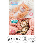 Альбом А4 40л спираль " Проф-Пресс " Спящие котята, обложка- мелованная бумага, блок- офсет 100г/м2, 2 дизайна в спайке