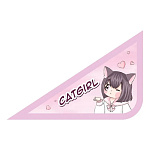 Папка " Пчелка " МАЛЫЙ ФОРМАТ А5-02 (230*190*50мм) молния сверху Cat Girl, с уголком, пластик