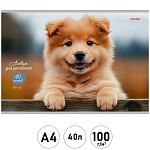 Альбом А4 40л " Проф-Пресс " Обаятельный песик- 1, скоба, обложка- мелованная бумага, блок- офсет 100г/м2, 1 дизайн в коробке