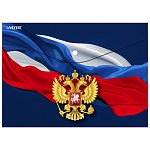 Папка на кнопке " deVente " МАЛЫЙ ФОРМАТ А5 Герб, пластик 0,18мм, непрозрачная