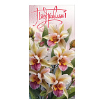 Открытка " Праздник " 410 Евро Поздравляю! Разноцветные нарциссы, 98*204мм, глянцевый УФ-лак