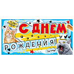 Конверт для денег " Мир поздравлений " 425 С Днем рождения! Котики, 168*84мм, блестки в лаке, текст