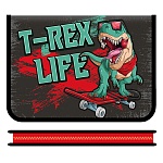 Папка " Пчелка " МАЛЫЙ ФОРМАТ А5-04 (230*180*25мм) молния вокруг T-Rex, печать на пластике