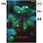 Записная книжка МАЛЫЙ ФОРМАТ А6 7БЦ 80л " Проф-Пресс " Красивая природа-6, клетка, обложка - глянцевый ламинированный картон, сшивка, лен, офсет