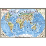 Карта детская настенная интерактивная Животный и растительный мир Земли 1:25млн 101*69см " Globen " ламинированная