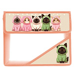 Папка " Пчелка " МАЛЫЙ ФОРМАТ А5-36 (230*190*50мм) на липучке 2отделения Послушные котики, клапан, с уголком, пластик