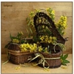 Постер магнитный 100*100мм " Ароматные цветы " Винил, европодвес