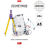 Тетрадь А5 48л " Hatber " Приключения кота Пирожка- Геометрия, клетка, со справочным материалом, на скобе, обложка- мелованная бумага