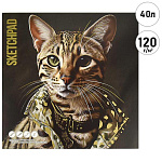 Скетчпад, белая бумага 120г/м2, 170*170мм, 40л, без линовки, обложка - мелованный картон, склейка, откидная планка, " Феникс " Стильный кот