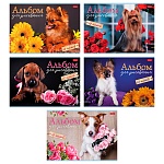 Альбом А4 48л " Hatber " Наши пёсики (ассорти), на скобе, обложка- мелованный картон, блок-офсет- 100г/м2, 1 дизайн в спайке, 5 дизайнов в коробке