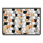 Папка " Пчелка " А4-29 (325*230*55мм) молния сверху Кошачьи мечты, печать на пластике