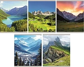 Тетрадь А5 48 л "Природа", 165х205 мм, на скобе, клетка, обложка - мелованный картон