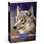 Пазлы " Hatber " 500элементов Premium ZooArt Волк 33*48см, постер, подарочная картонная упаковка