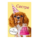 Открытка " Мир поздравлений " 445 Сестре. Ты лучшая! Собачка и тортик, 122*182мм, блестки в лаке, текст