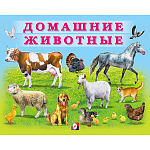 Обучающее пособие " Фламинго " 200*160мм 10стр Учим малыша. Домашние животные, обложка- глянцевая бумага, на скобе