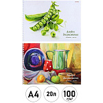 Альбом А4 20л спираль " Проф-Пресс " Изящный натюрморт, обложка- мелованная бумага, блок- офсет 100г/м2, 2 дизайна