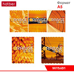 Тетрадь 96л А5ф клетка 65г/кв.м на скобе глянц. ламин. серия -Оранжевый мир-