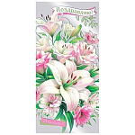 Конверт для денег " Мир открыток " 2-17 Поздравляю! Лилии, 165*85мм, серебряная фольга, без текста