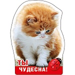 Магнит виниловый " Хорошо " 615 Ты чудесна!