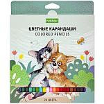 Карандаши цветные деревянные ECO Pets story 24цв " Hatber " шестигранные, картонная упаковка, европодвес