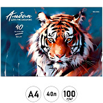 Альбом А4 40л " Проф-Пресс " Тигр- 1, склейка, обложка- мелованная бумага, блок- офсет 100г/м2, 1 дизайн в коробке