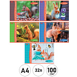 Альбом А4 32л " Hatber " Белочка пришла (ассорти), скоба, обложка - мелованный картон, блок-офсет- 100г/м2, 5 дизайнов в спайке