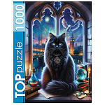 Пазлы " TOPpuzzle " 1000элементов Магический кот 47*67см, картонная упаковка 16,4*19,4*7,3см