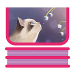 Пенал " Пчелка " ПО-69 2 отделения 105*190*50мм Нежность, ламинированный картон, печать на фольге