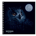 Скетчбук, белая бумага 120г/м2,192*192, 60л, спираль, 7БЦ, без линовки, обложка - матовый ламинированный картон " Академия Групп " Ночной филин