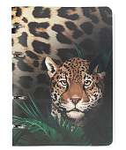 Тетрадь на кольцах А5 "Дикие Тропики" 80 листов, пластиковая обложка