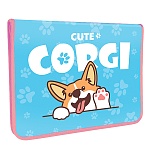 Папка " Пчелка " МАЛЫЙ ФОРМАТ А5-04 (230*180*25мм) молния вокруг Милый корги, печать на пластике