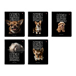 Тетрадь А5 48л клетка " Альт " Особо опасные собачки, офсет, на скобе, обложка - мелованный картон, сплошной УФ-лак, скругленные углы, 5 дизайнов в спайке