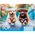 Пазлы " TOPpuzzle " 1000элементов Бегущие щенки 67*47см, картонная упаковка 19,2*15,4*7см