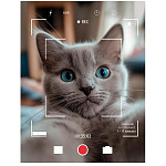 Дневник 1-11 класс " Проф-Пресс " Котик в объективе, мелованный картон, 40л