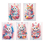 Альбом с пластиковой обложкой А4 48л " Hatber " Spring cat (ассорти), скоба, тиснение, блок- офсет 100г/м2, 1 дизайн в спайке, 5 дизайнов в коробке