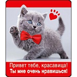 Магнит виниловый " Хорошо " 918 Привет тебе, красавица! Без отделки, 60х70мм